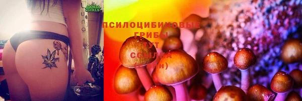 герыч Кукмор