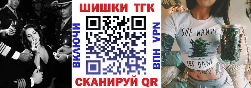 где найти наркотики  Владимир  Марихуана сатива 